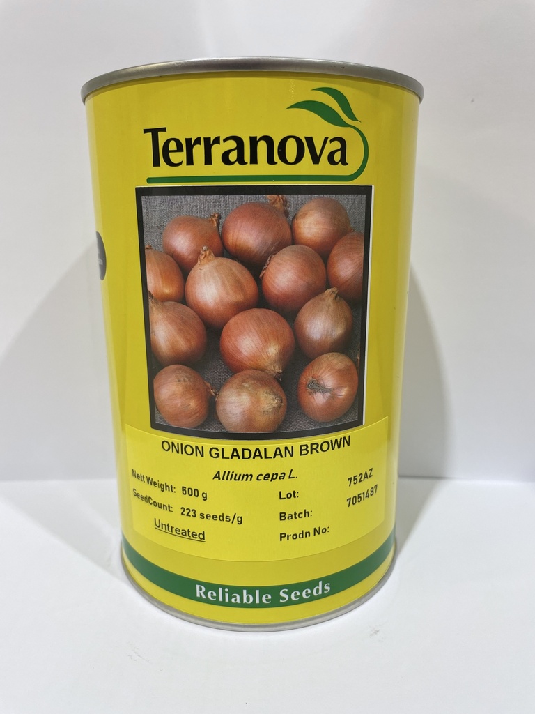 [SD0247] Seed Terranova Onion Gladalan Brwn 500g  