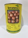 Seed Terranova Onion Gladalan Brwn 500g  