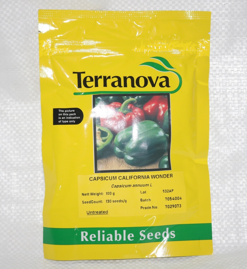 Seed Terranova Capsicum California Wonder 100G  