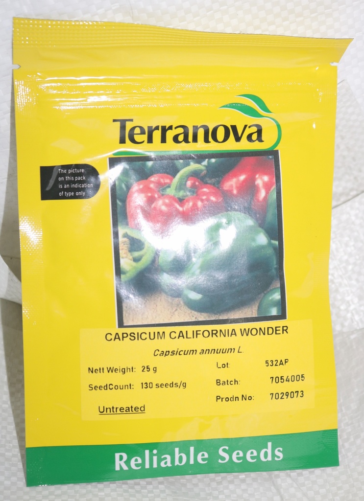  Seed Terranova Capsicum California Wonder 25G 