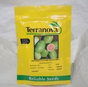 Seed Terranova Watermelon Charlestron 100g