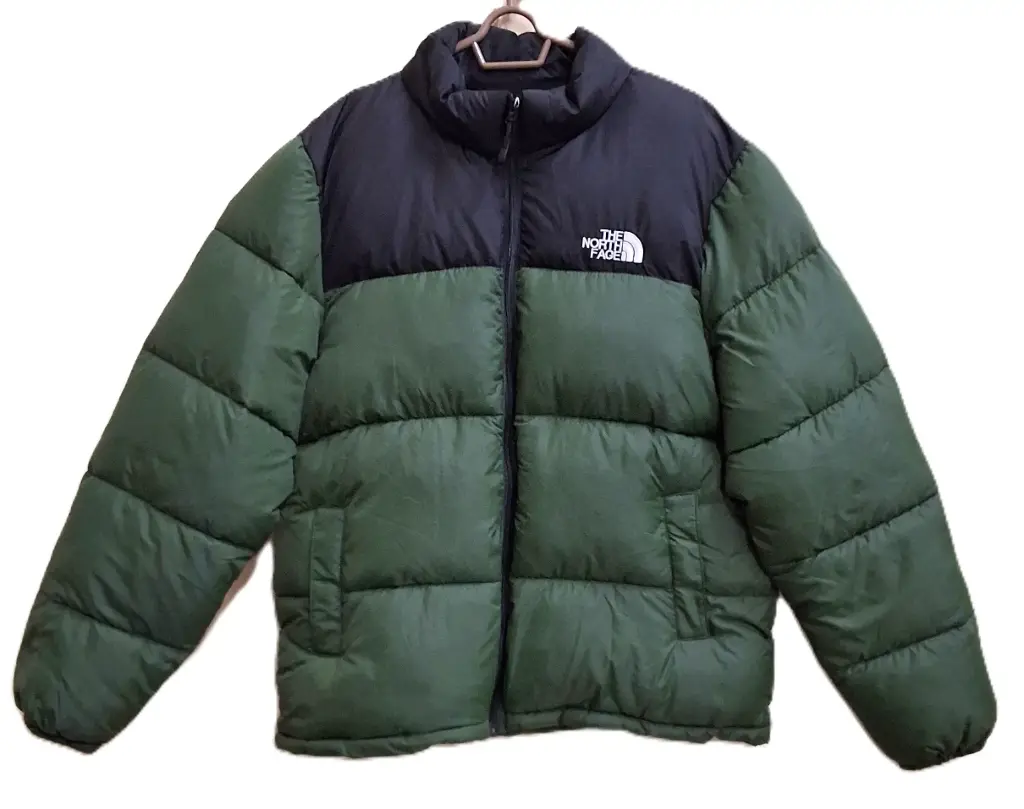 Jacket Winter 'North Face' DH60-5