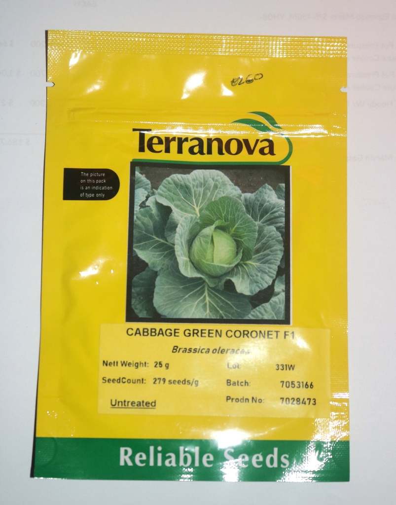 [SD0431] Seed Terranova Cabbage Green Coronet F1 25g  