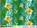 Fabric Jumping Fish 35/36" 2403022 1579BB