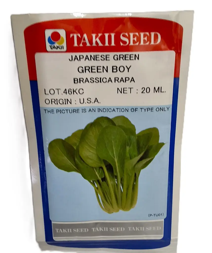 Seed Takii Japanese Green Boy 20