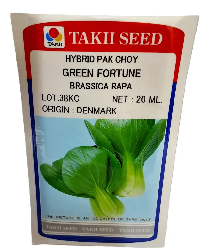 Seed Takii Pak Choy Grn Fortune HYB 20g 332381