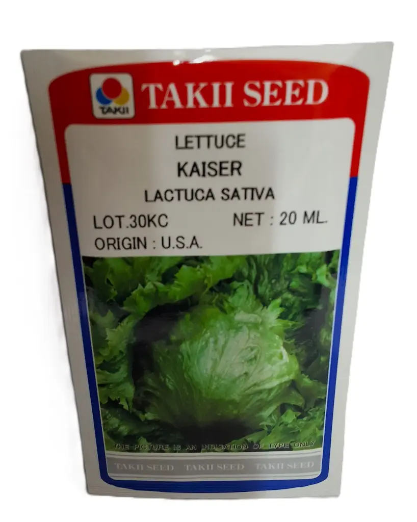 Seed Takii Lettuce Kaiser 20 332372