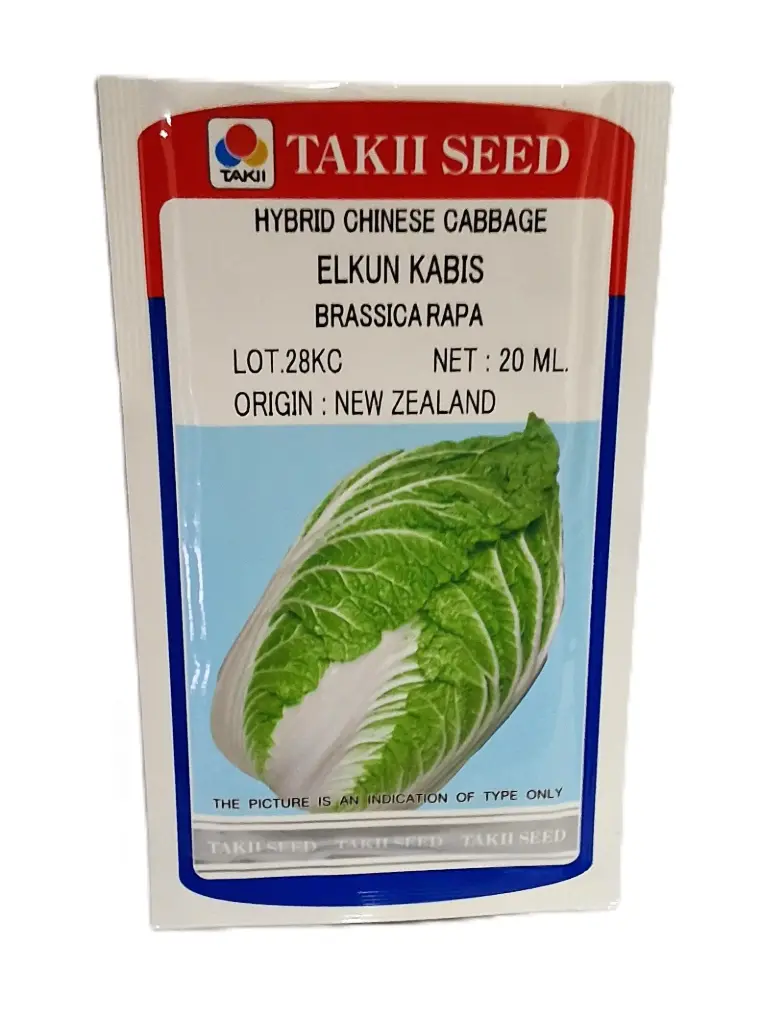 [220204] Seed Takii Carb Chin Hyb Elkun Kabib 20 