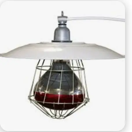 [VI8508] Chicken Heater Lamp MS530