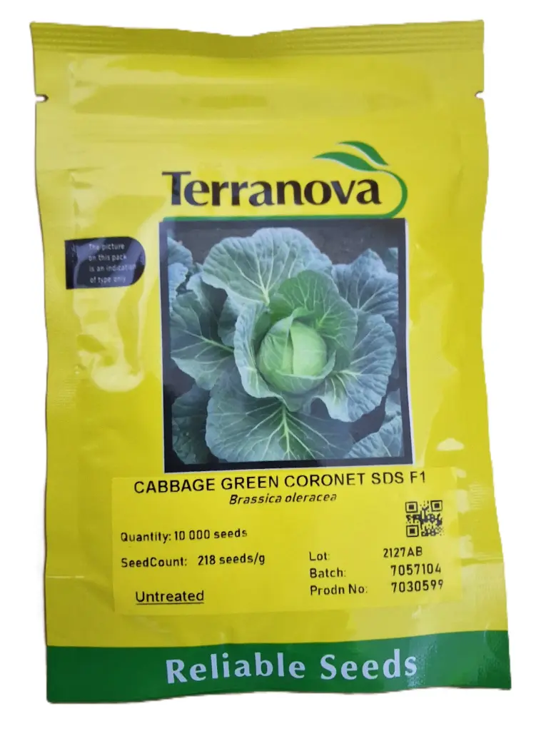 Seed Terranova Cabbage Green Coronet F1 10M