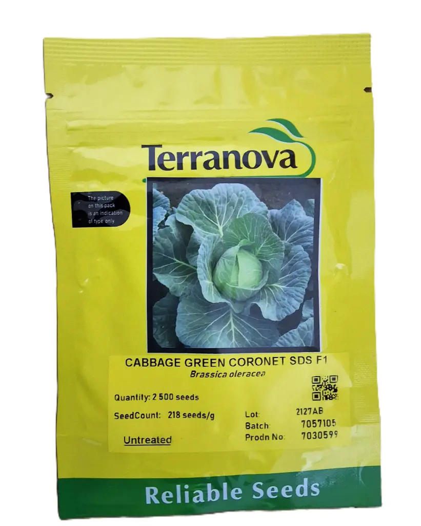 Seed Terranova Cabbage Green Coronet F1 2.5M