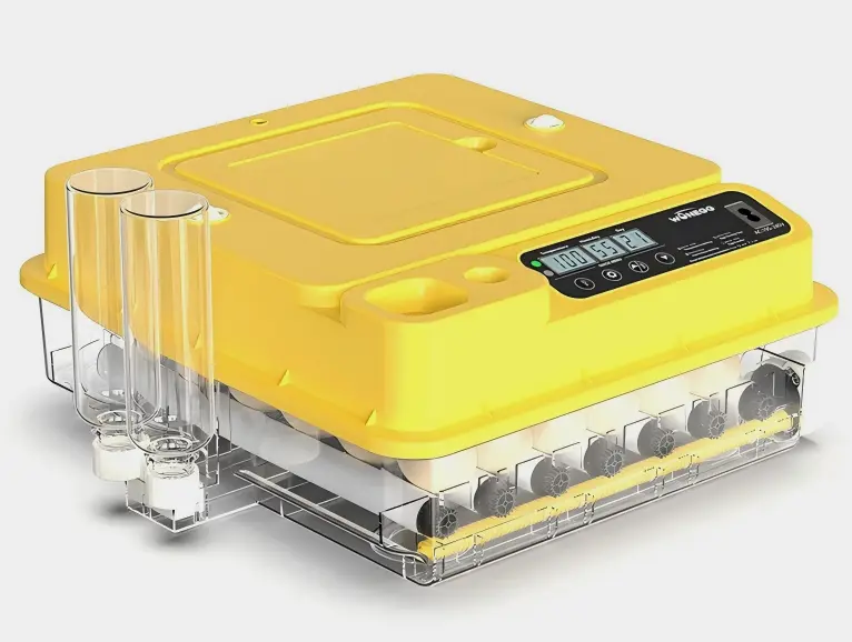 Egg Incubator Chicken 1 Layer 36 Eggs 6x6 
