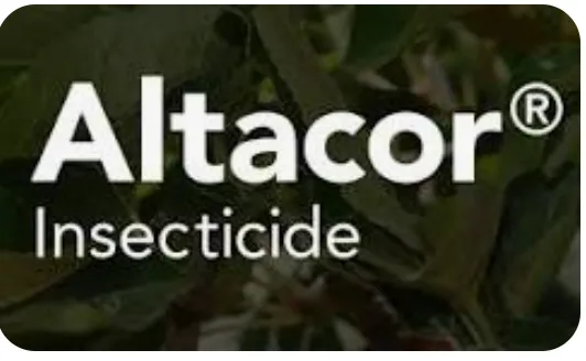 [AC0453R] ALTACOR HORT Chlorantraniliprole 350g/kg WDG 20kg