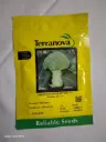Seed Terranova Broccoli Marathon F1 2.5M 19g 