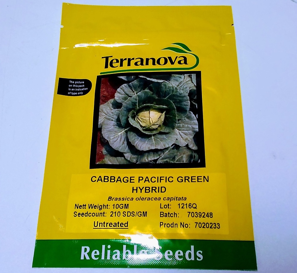 Seed Terranova Cabbage Pacific Green F1 10G 