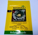 Seed Terranova Cabbage Pacific Green F1 10G 