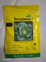 Seed Terranova Cabbage Pacific Green F1 25G 