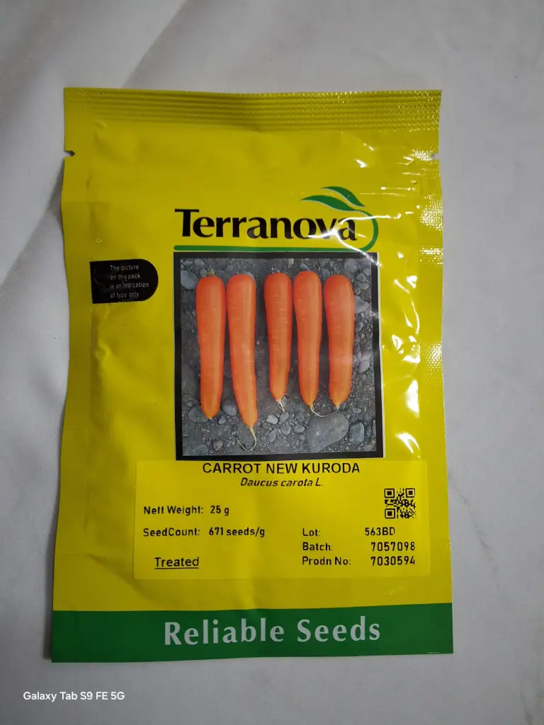 Seed Terranova Carrot New Kuroda 25G 