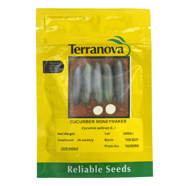  Seed Terranova Cucumber Moneymaker 25G 