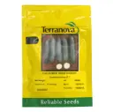  Seed Terranova Cucumber Moneymaker 25G 