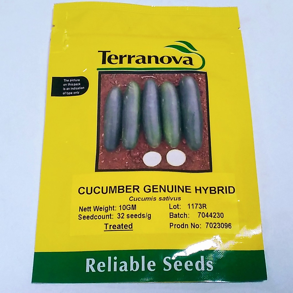  Seed Terranova Cucumber Genuine F1 10G 