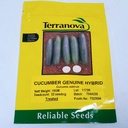 Seed Terranova Cucumber Genuine F1 10G 