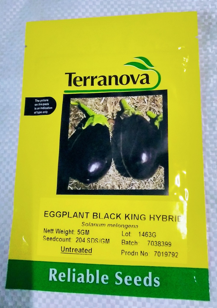  Seed Terranova Eggplant Black King F1 5G 