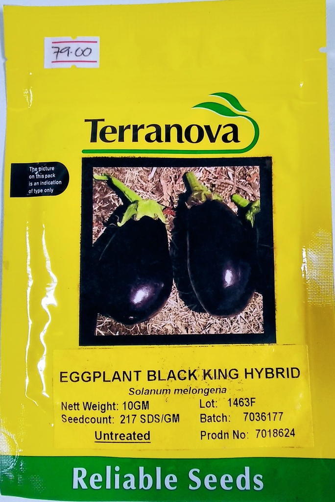  Seed Terranova Eggplant Black King F1 10G 