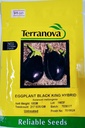  Seed Terranova Eggplant Black King F1 10G 
