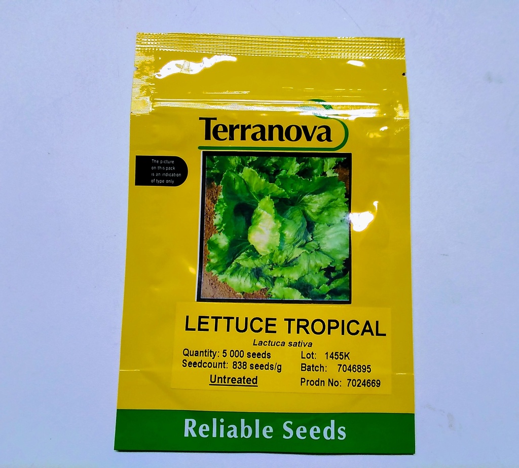  Seed Terranova Lettuce Tropical 5m 5000sds 6g 