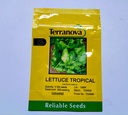  Seed Terranova Lettuce Tropical 5m 5000sds 6g 