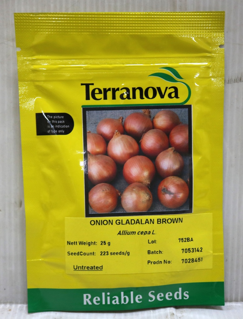 Seed Terranova Onion Gladalan Brwn 25g 