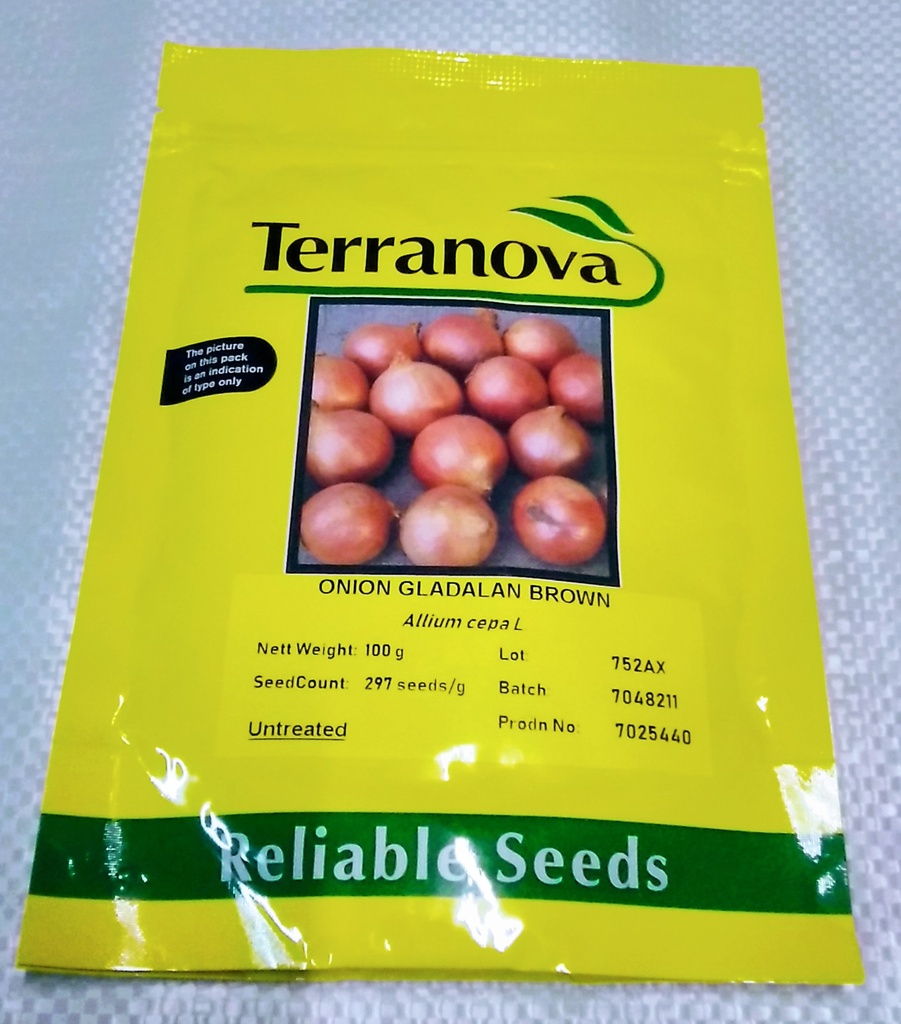 Seed Terranova Onion Gladalan Brwn 100g 