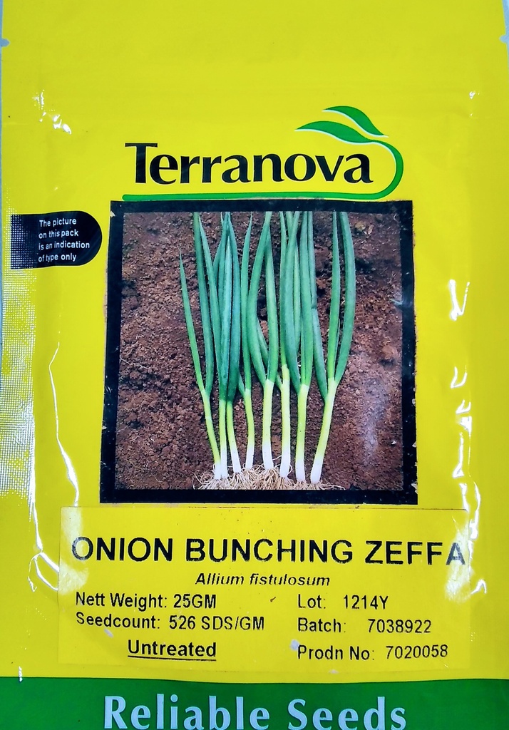  Seed Terranova Onion Zeffa 25g 