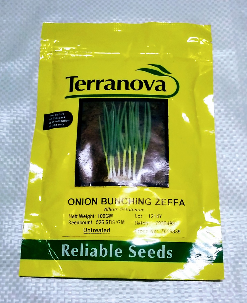  Seed Terranova Onion Zeffa 100g 