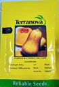 Seed Terranova Pumpkin B/Nut Waltham 25g 