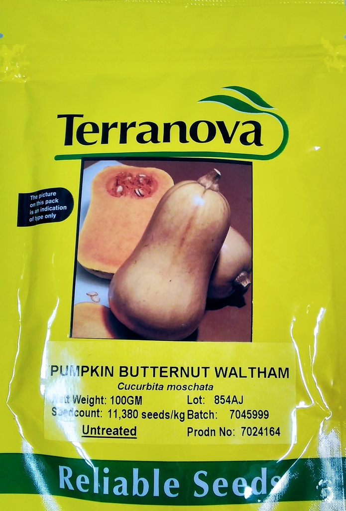  Seed Terranova Pumpkin B/Nut Waltham 100g 