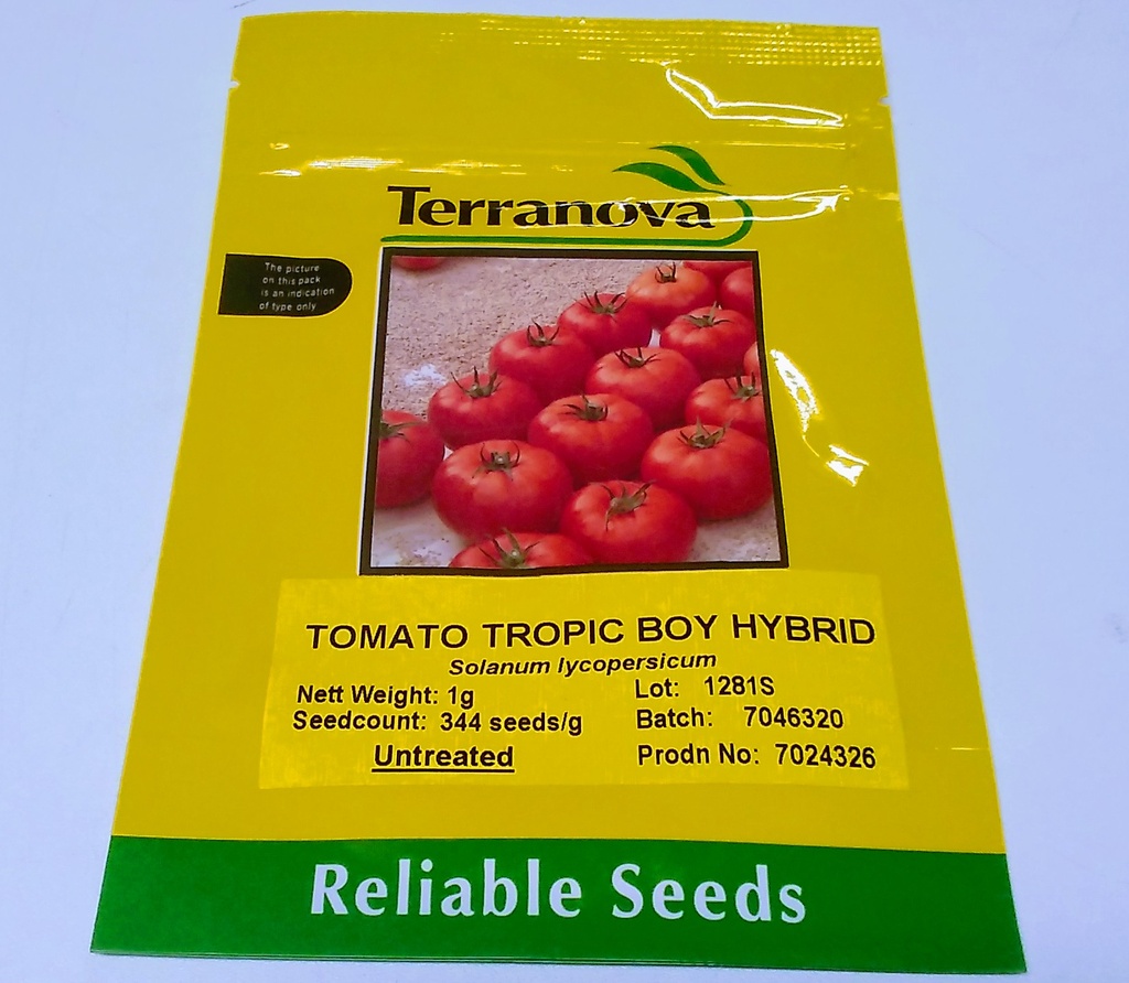 [SD0282]  Seed Terranova Tomato Tropic Boy F1 1g 