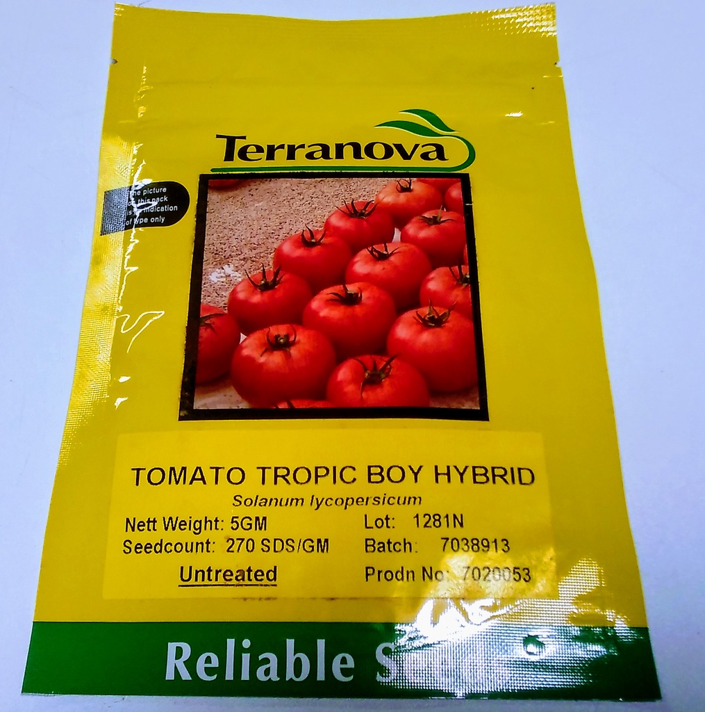  Seed Terranova Tomato Tropic Boy F1 5g 