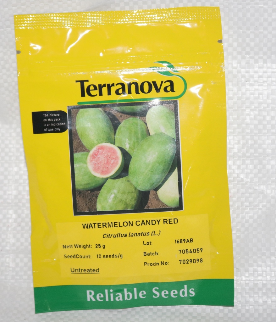 [SD0284] Seed Terranova Watermelon Candy Red 25g 