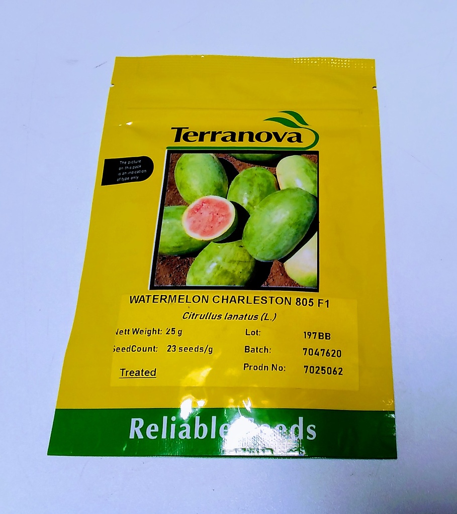  Seed Terranova Watermelon Charleston 805 25g 