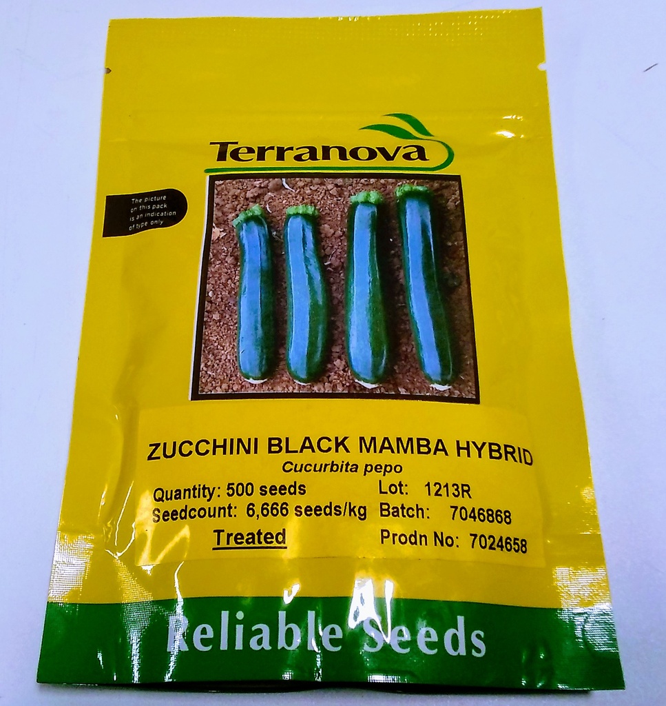  Seed Terranova Zucchini Black Mamba F1 500sds 7.5g 