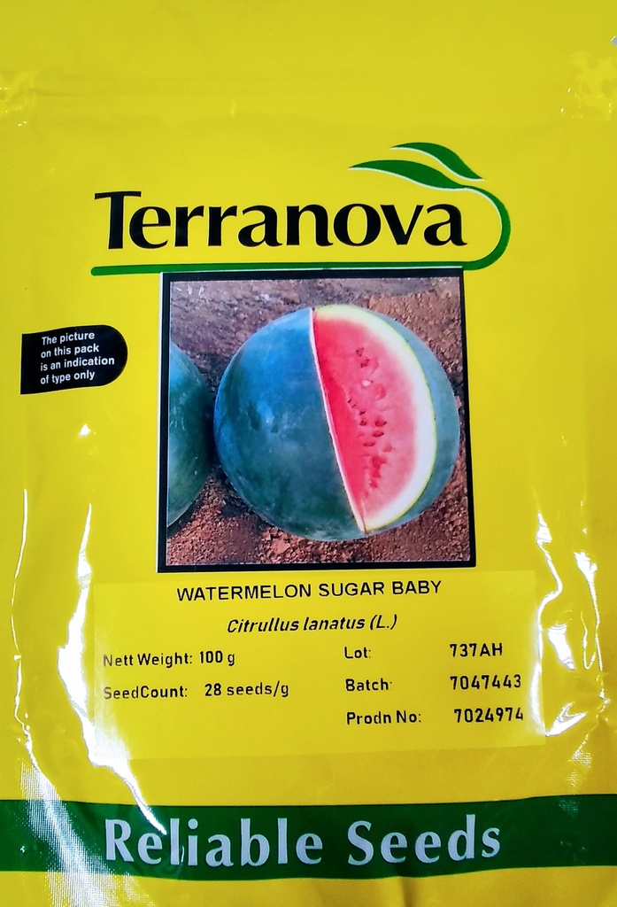 [SD0291] Seed Terranova Watermelon Sugar Baby 100g 