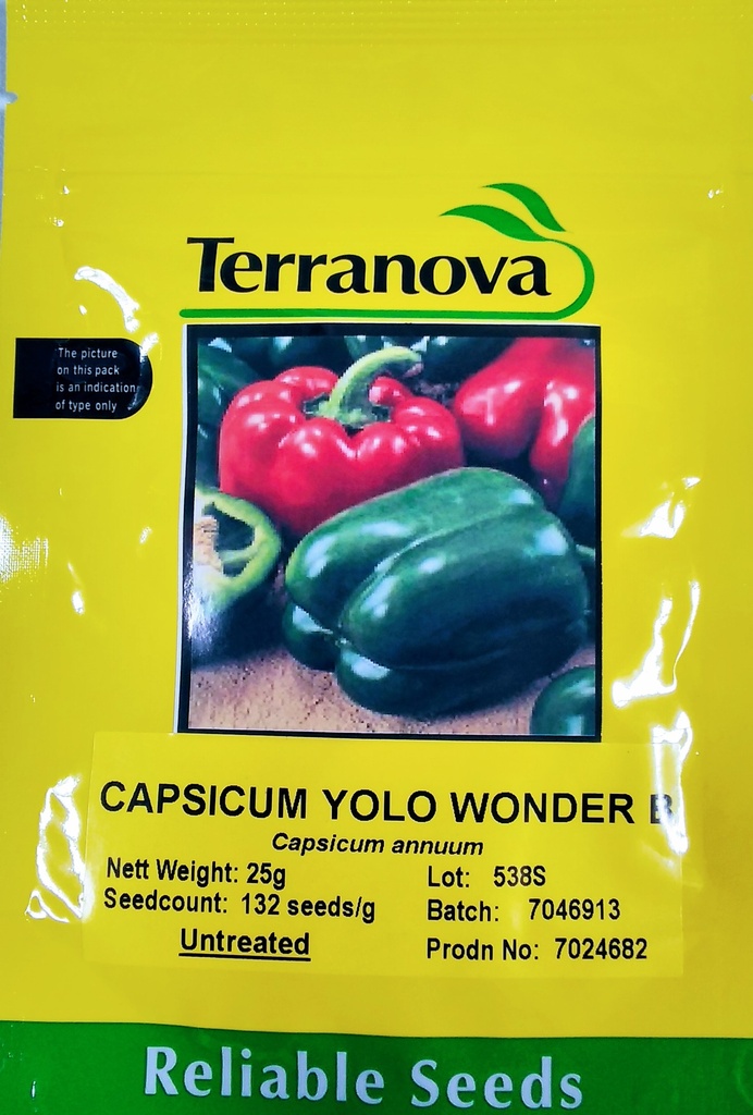 Seed Terranova Capsicum Yolo Wonder B 25G 