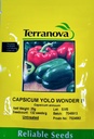 Seed Terranova Capsicum Yolo Wonder B 25G 