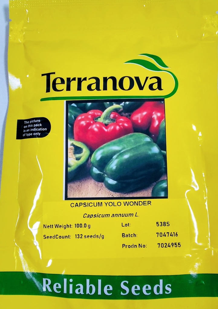 Seed Terranova Capsicum Yolo Wonder B 100G 