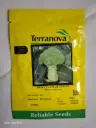 Seed Terranova Broccoli Blue Finn F1 10G 