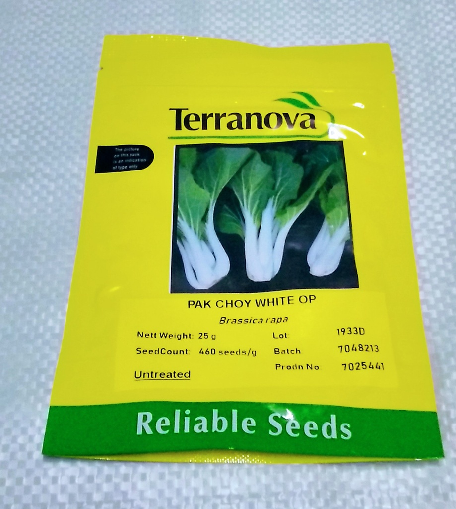 [SD0299] Seed Terranova Pakchoy White Op 25g 