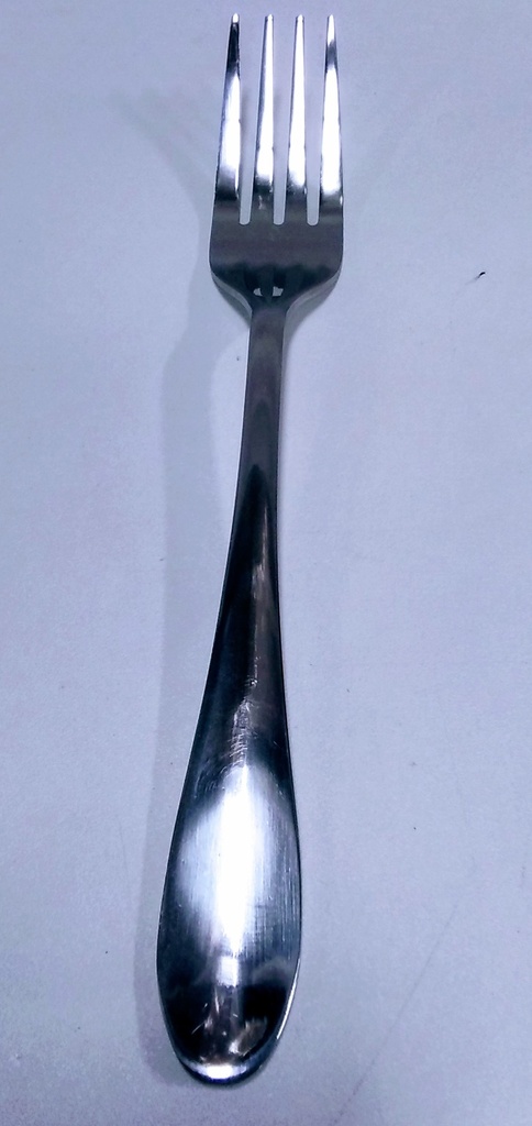 [VI3743] Kitchen S/S Table Fork 55G