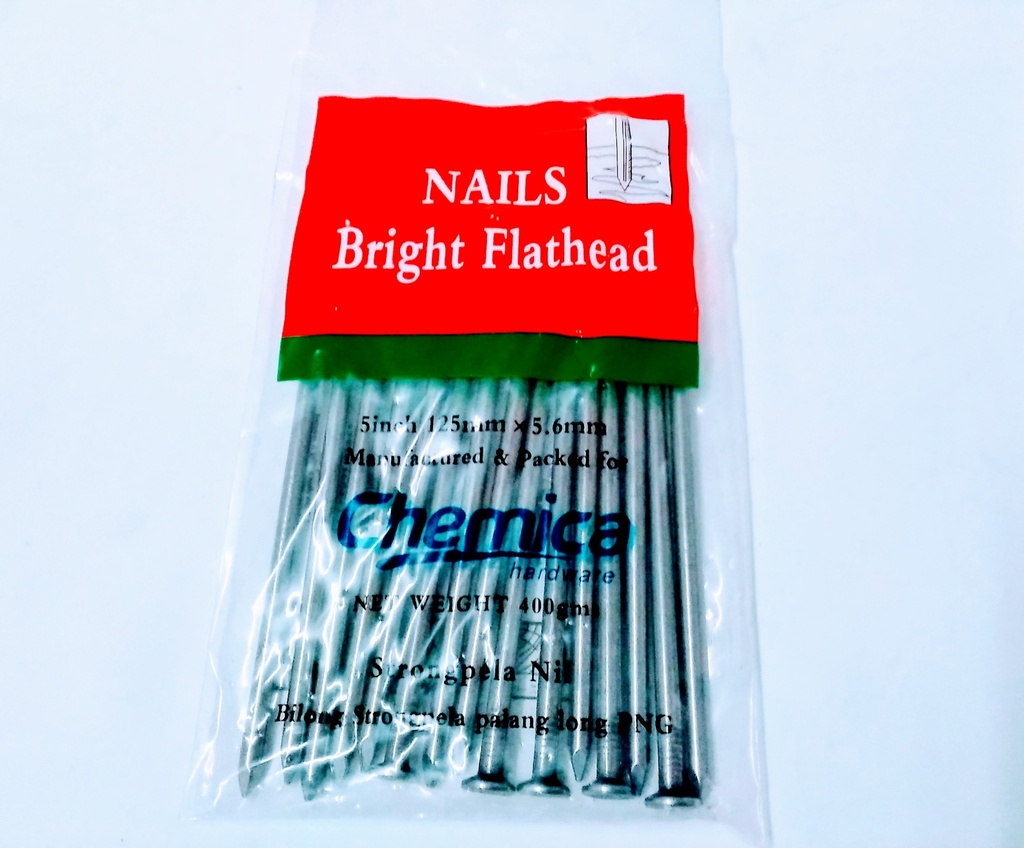 [WN0301] Nail Flat Head Bright 5" 400g